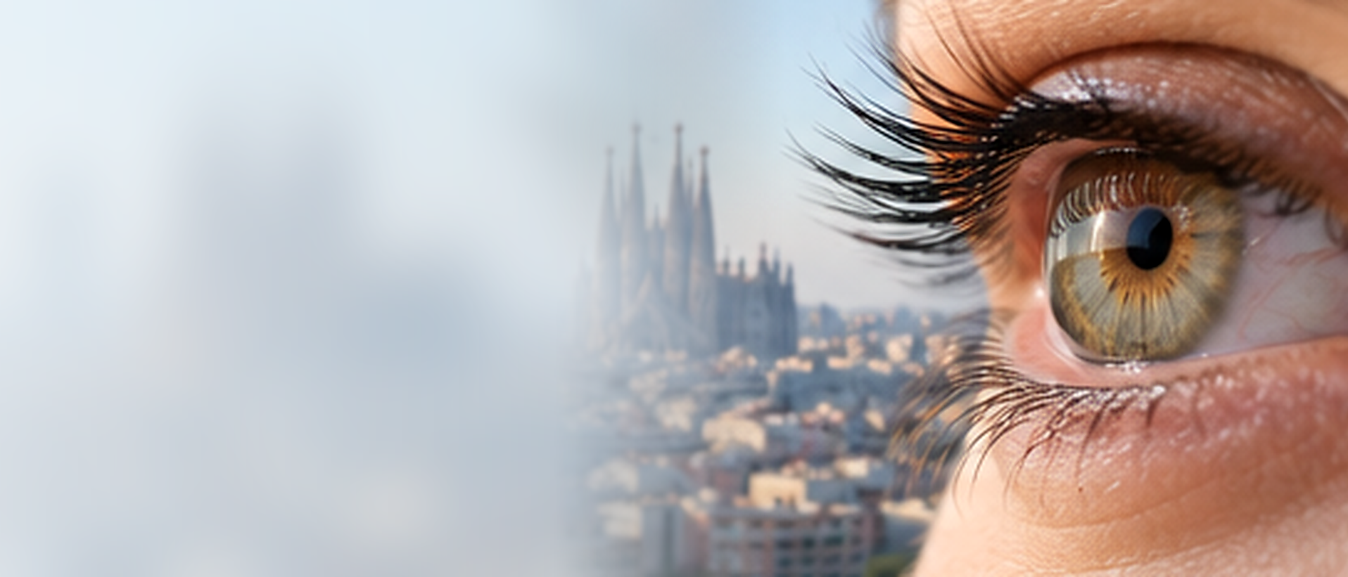 Ilustración original del ojo para la guía del glaucoma de IOCSL Barcelona